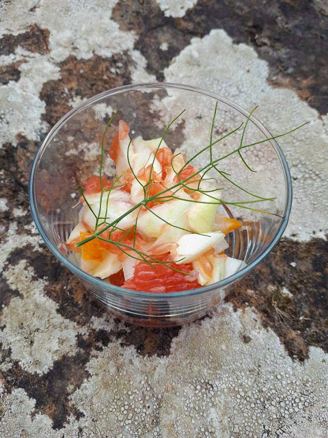 Salade de fenouils pamplemousse haddock et citron vert