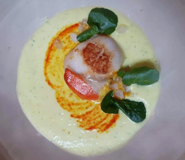 Coquille Saint-Jacques et crème de courgette au safran