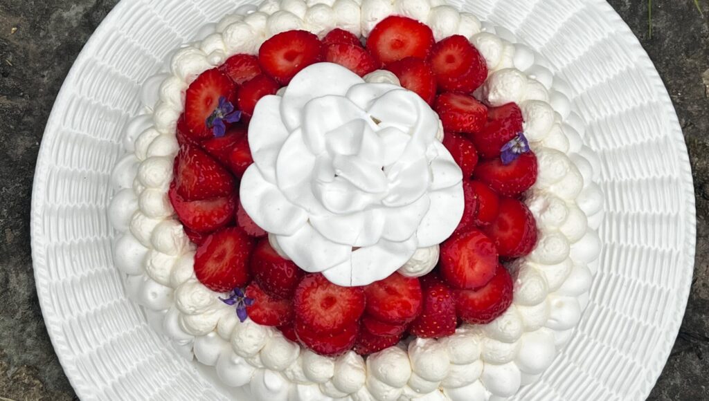 cropped Pavlova scaled 1